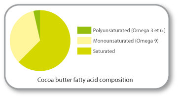 le beurre de cacao biologique : anti-age composition du beurre de cacao