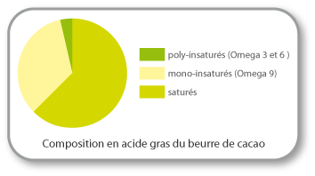 le beurre de cacao biologique : anti-age composition du beurre de cacao